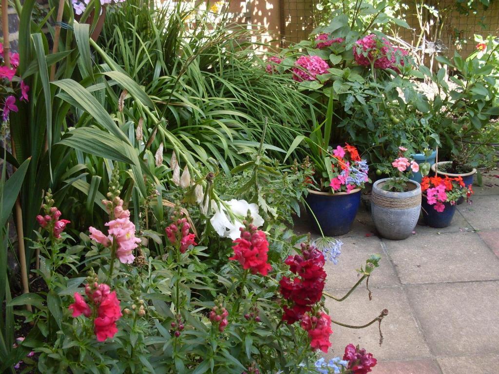 Cambridge House Guest House Eastbourne Room photo